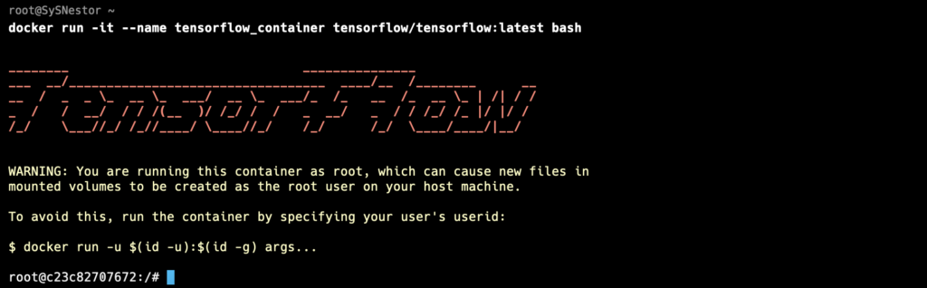 Run the TensorFlow Container