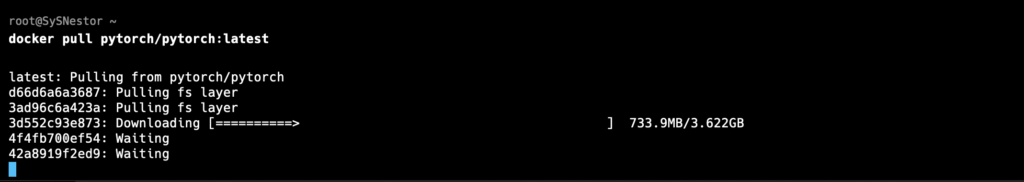 Pull the PyTorch Docker Image