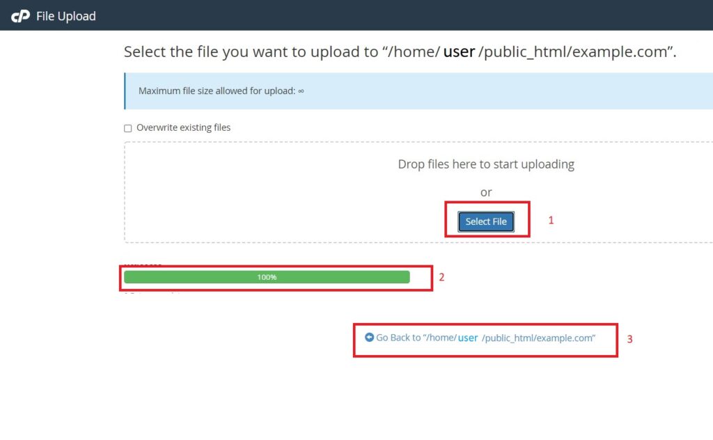 Upload website files to the new cPanel hosting account